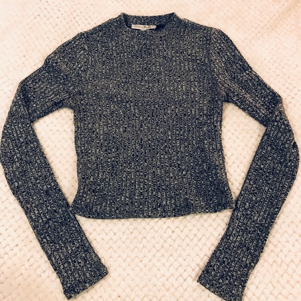Long sleeve crop top Express sweater
